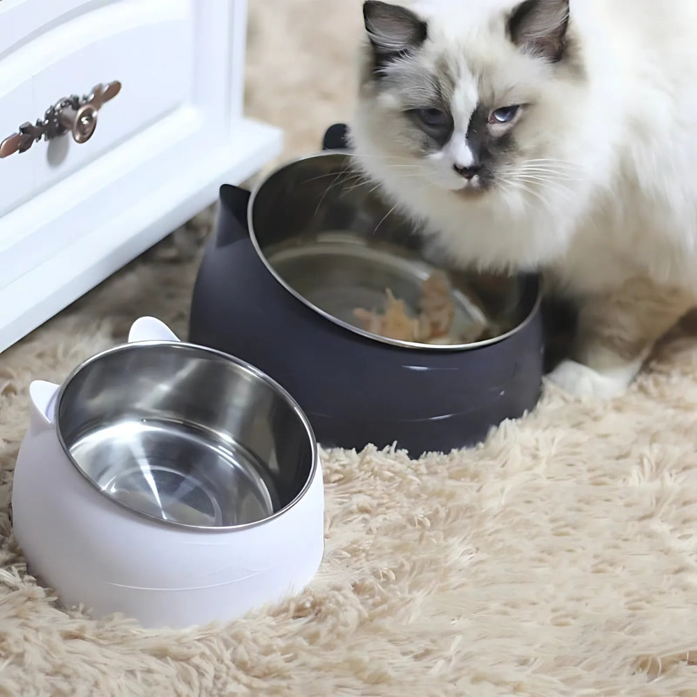 PurrfectAngle Futterstation für Haustiere