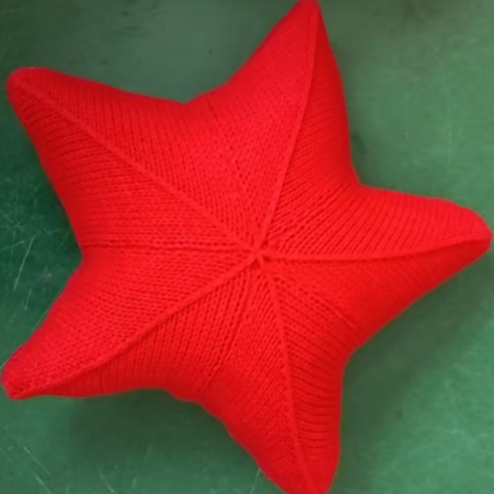 Sternenfisch Handgestricktes Kissen