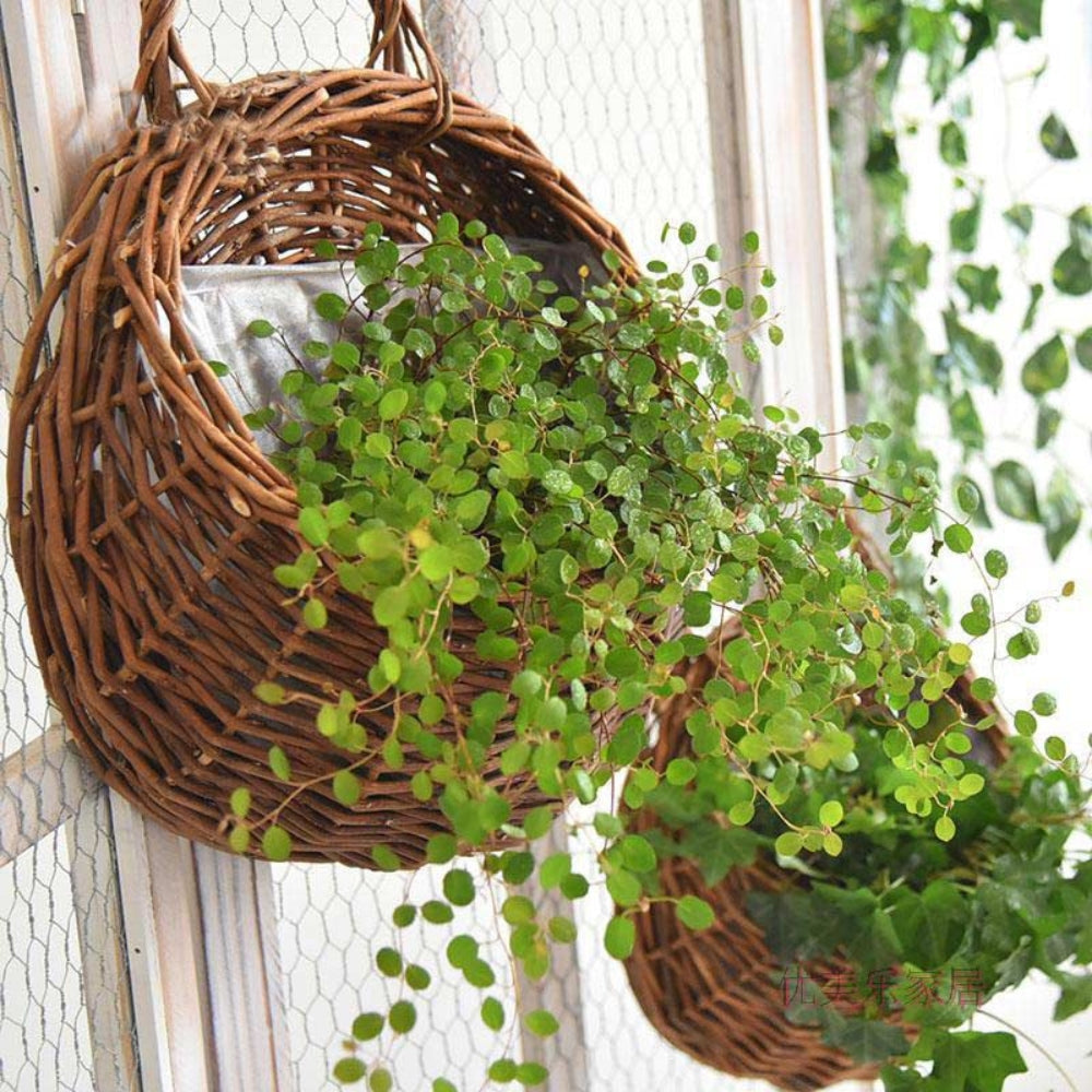 Maison Handgewebter Hängebasket
