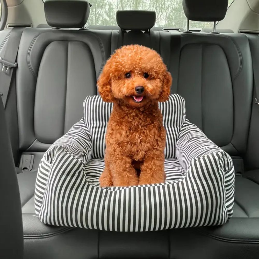 Pawssenger Reise Haustiersitz
